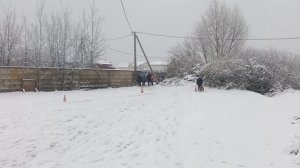 8.  выражено/перв NEGUS KARIL*S ZNATA (Ромео из Новой Сибири – Negus Karil*S Emmanuel Belkanto)