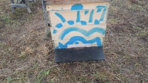 Защита летков от ветра, снега и ледяного дождя