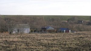 На территории Воронежской области установлено более 900 карантинных зон