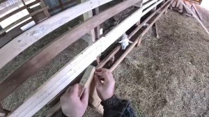 Мама взяла бензопилу! Пополнение ! Кормушки почти готовы ! ХУТОР В ЛЕСУ №872