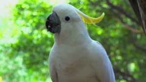 ОЧЕНЬ КРАСИВАЯ МУЗЫКА ДЛЯ РАССЛАБЛЕНИЯ ДУШИ. УСПОКАИВАЮЩИЕ МЕЛОДИИ ДЛЯ СНА