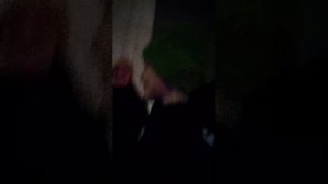 прогулка с Лидой