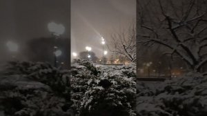 Первый снег в парке Строителей