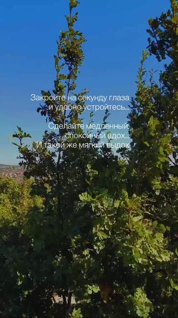 Видео от МОНС 4 COTTAGE