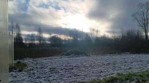 выпал долгожданный снег - гуляем с собакой