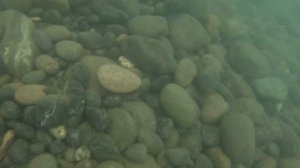 В море с головой