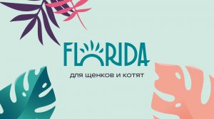 Florida для щенков и котят – обзорное видео про бренд 🐾