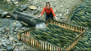 Эффективная техника ловли рыбы в ручье. Ловлю и продаю рыбу на рынке. Жизнь во Вьетнаме