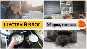 Делаем все по быстрому. Успеть все! Уборка, готовка. Болталка