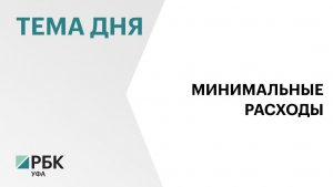 Прожиточный минимум в Башкортостане с января 2026 года составит ₽16 856 на человека