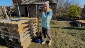 Посадка деревьев на даче или как мы решили заложить сад мечты.