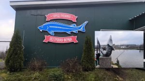 Осетровая ферма. Экскурсия, рыбалка, отдых. Пушкинская Осетровая Ферма.