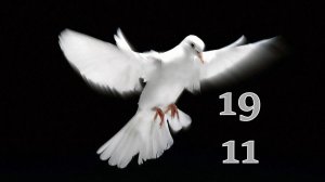 19.11.2024 - Прямая трансляция ст.Елизаветинская