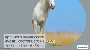 Фамилия Айриян: все о происхождении, значении и склонении этой фамилии