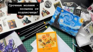 Срочная молния - посылка от подписчицы!