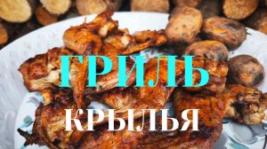 Крылья в обалденном маринаде, готовим на мангале и запекаем картофель в фольге на гарнир! Выручалка!