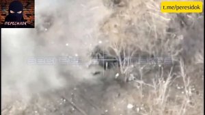 ВСУшник запрыгнул на дерево