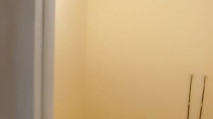 Зелёный остров 12