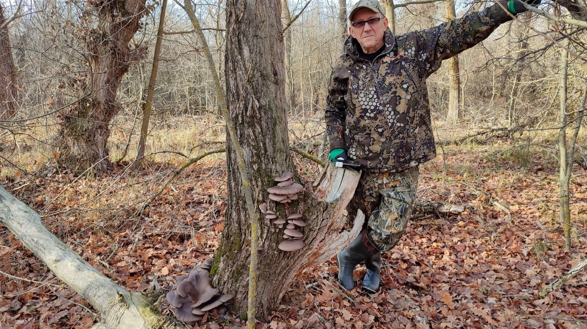 Сейчас это популярные грибы: синеножка, вешенка, маслята, зеленушка. смотреть онлайн