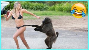 Юморок TV представляет: "Зверопокалипсис: Когда животные отрываются по полной! 😂🐾"