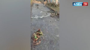 На Казанском кладбище мужчина выносил оградки, таблички и кресты с могил на дорогу