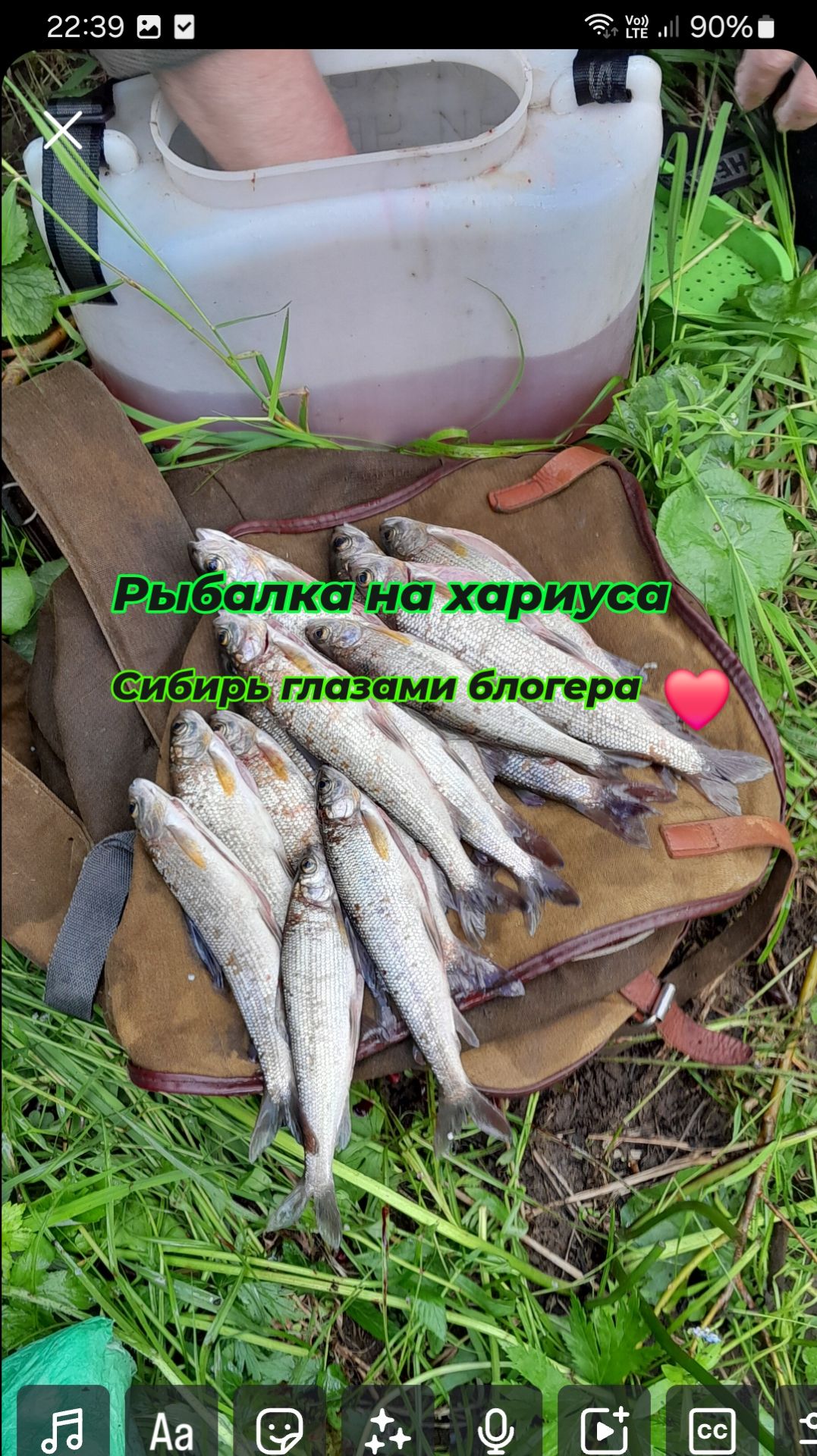 Ловил я, а Василий спал на берегу