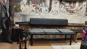 Моя Жизнь Кино @ Музей Псов