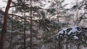 Перспективы в работе по найму в организации