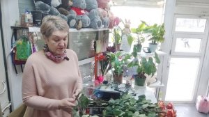 Имею желание🤔 завести 🐕 и думаю,КТО на КОГО ГАВКАТЬ будет 🤭😄Вы мне не поскажите🤠