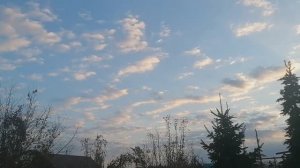 20.10. Мой целый день.  Скатерть. И чиа.