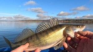 КОРЯЖНЫЙ ВОДОЕМ: ОТКРОЙ ДЛЯ СЕБЯ РЫБАЦКИЙ РАЙ!!!