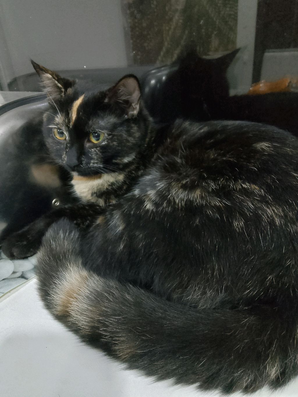 второе видео на канале играем. в роблокс студио