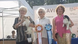 26.07.2025, СПб. Клуб "Аскона" (РКФ, РФЛС). Моно ЯПОНСКИЙ ХИН