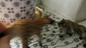 Шляйх сериал " Камень зла " третья серия: помощники демона, босс демона.