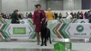 Русская Легенда Марс