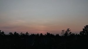 На закате: политическая система России: правая и левая идеи, национализм разного толка, мышление 🤔