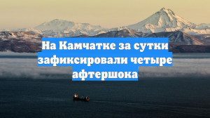 На Камчатке за сутки зафиксировали четыре афтершока