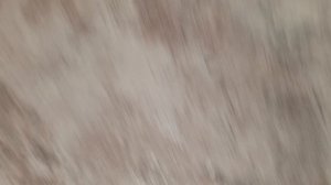 обзор машины 🚗