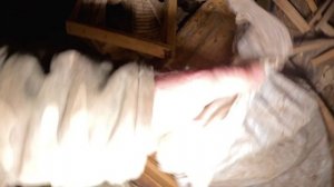 заброшенная деревня