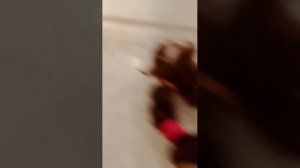 @Lizamyfamily подпишись пожалуйста ♥️