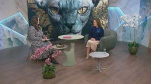 О кошках и науке, которая их изучает | «Новое утро»