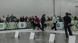 Сравнение на ЛК