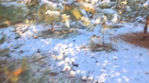 Домашний блог.