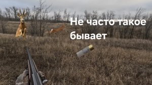 Загонная охота. Редкий случай, срезало как бритвой