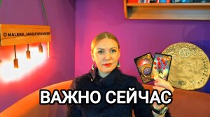 ВАЖНО СЕЙЧАС