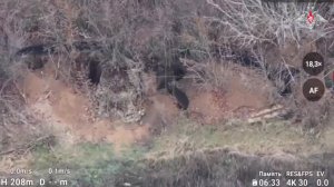 🎮 Противник замолк – работают наши «птички»