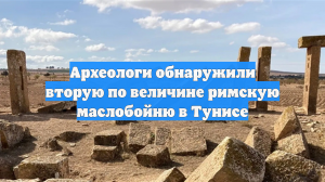 Археологи обнаружили вторую по величине римскую маслобойню в Тунисе