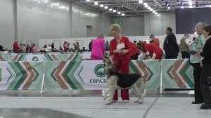 Калужский Витязь Юнона