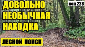 или ЧЕГО ТОЛЬКО НЕТ В ЭТОМ ЛЕСУ!коп 228