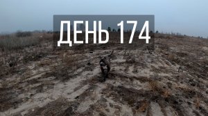 День 174